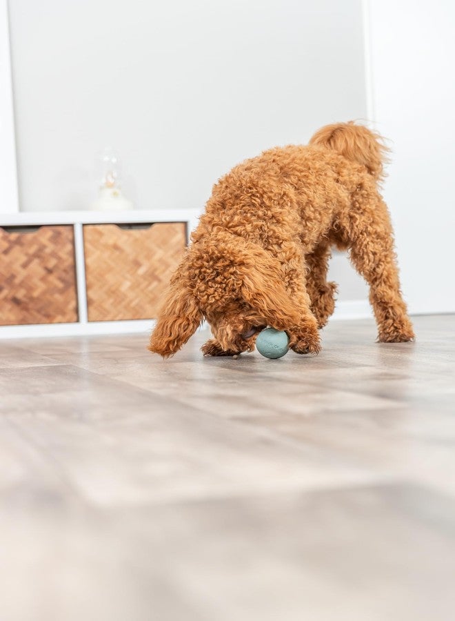 TRIXIE Snack Ball Natural Rubber Dia 6 cm - Image 2